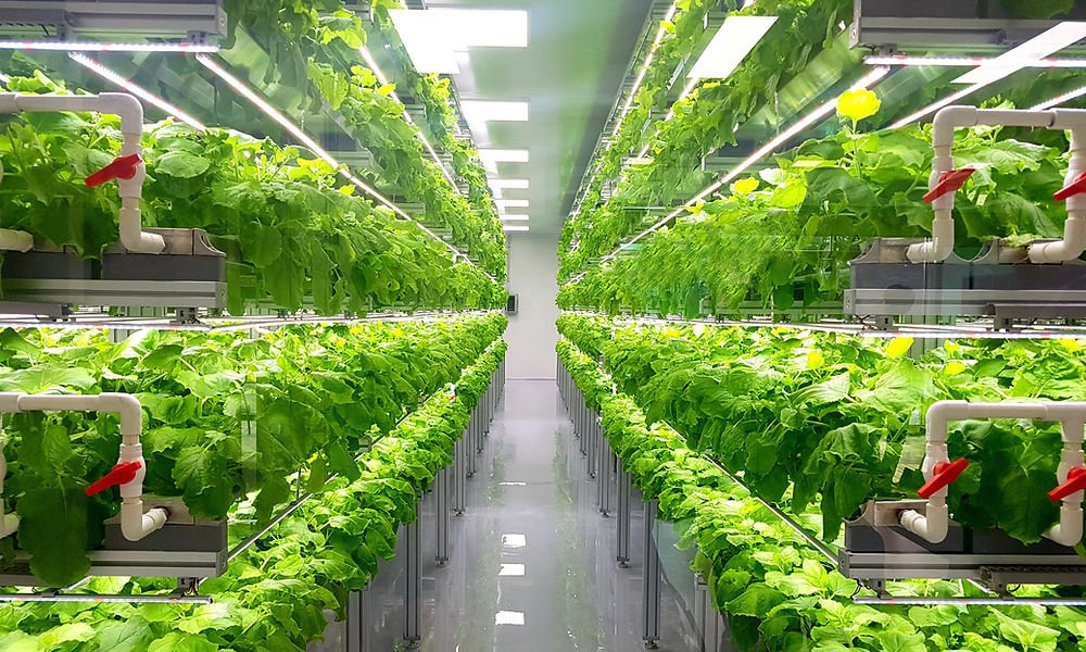 Sustainable Agriculture
